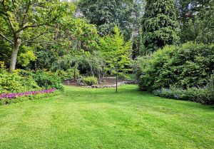 Optimiser l'expérience du jardin à Montmeillant